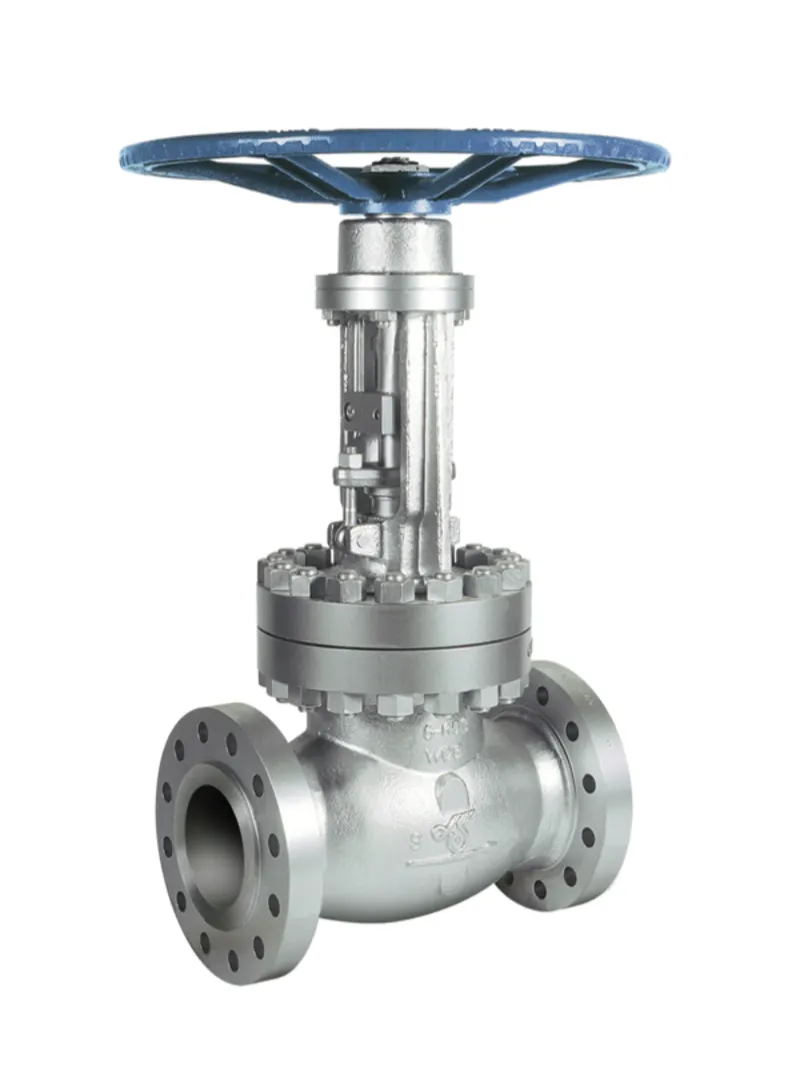 Gate Valve 5K Cast Iron dan Ansi — jual gate valve Balikpapan